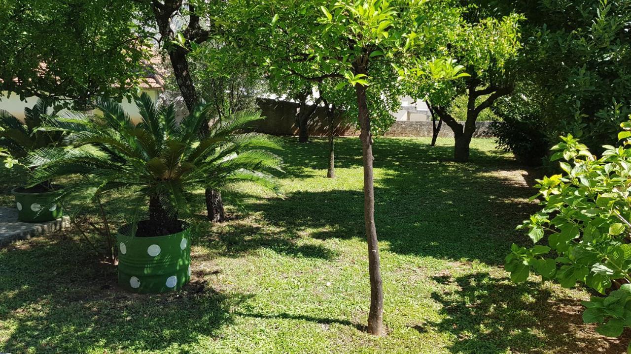 Apartment Angel كوتور المظهر الخارجي الصورة